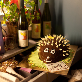 Janček ježek - premiera <em>Foto: Boštjan Lah</em>