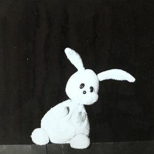 The Bunny Dideldajček