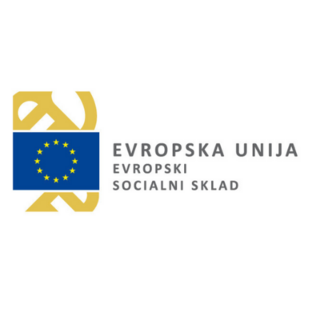 European Social Fund