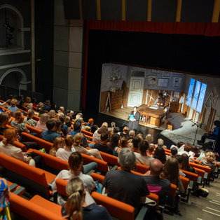 12th Biennial of Puppetry Artists of Slovenia <em>Photo: Boštjan Lah</em>