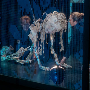 12th Biennial of Puppetry Artists of Slovenia <em>Photo: Boštjan Lah</em>