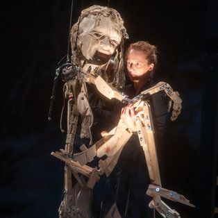 12th Biennial of Puppetry Artists of Slovenia <em>Photo: Boštjan Lah</em>