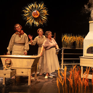 Opening night Shine, Shine, Sunshine <em>Photo: Boštjan Lah</em>