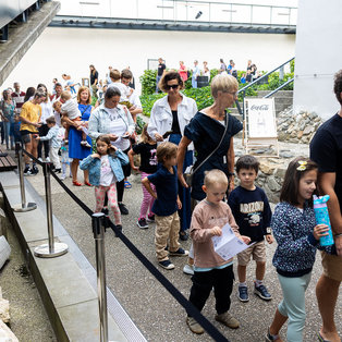 36. Poletni lutkovni pristan, 2. vikend <em>Foto: Boštjan Lah</em>
