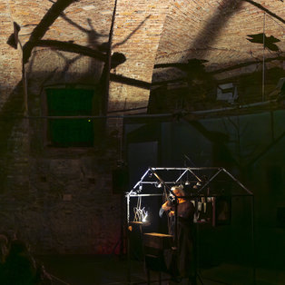 The Chest of Blue Poppies Premiere night <em>Photo: Boštjan Lah</em>