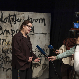 Press conference before the premiere of The Story of Colors  <em>Photo: Boštjan Lah</em>