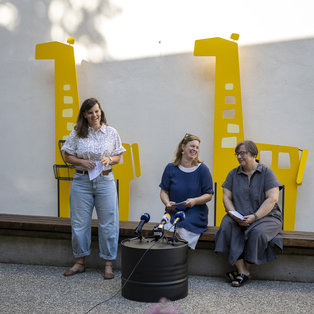 Novinarska pred festivalom 37. PLP <em>Foto: Boštjan Lah</em>