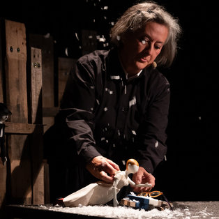 12th Biennial of Puppetry Artists of Slovenia <em>Photo: Boštjan Lah</em>