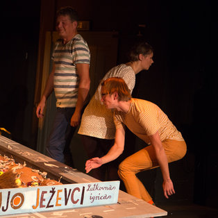 How Purcupines Ripen - Premiere <em>Photo: Boštjan Lah</em>