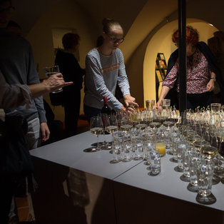 How Purcupines Ripen - Premiere <em>Photo: Boštjan Lah</em>