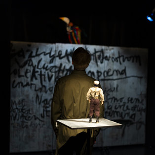 Press conference before the premiere of The Story of Colors  <em>Photo: Boštjan Lah</em>