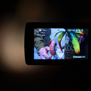 Press conference before the premiere of The Story of Colors  <em>Photo: Boštjan Lah</em>