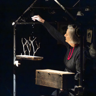 The Chest of Blue Poppies Press Conference