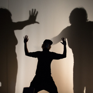 7th Biennial of Puppetry Artists of Slovenia <em>Photo: Boštjan Lah</em>