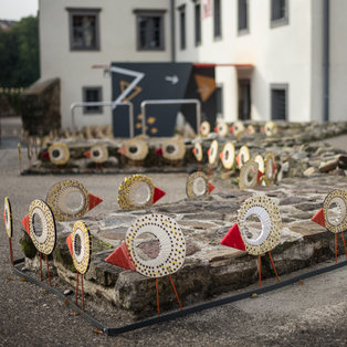 Chickens <em>Photo: Boštjan Lah</em>