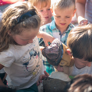 Poletni lutkovni pristan 2019 <em>Foto: Boštjan Lah</em>