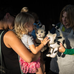 Poletni lutkovni pristan 2018 <em>Foto: Boštjan Lah</em>