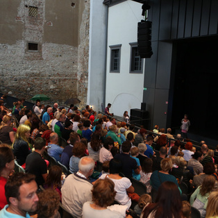 Restaging of the performance Speckles the Ball <em>Photo: Boštjan Lah</em>