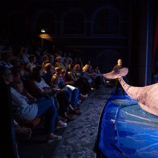 Snail on the whale s whip - Premiere <em>Photo: Boštjan Lah</em>