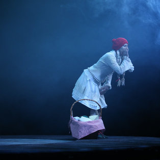 Red Riding Hood - Premiere <em>Photo: Boštjan Lah</em>