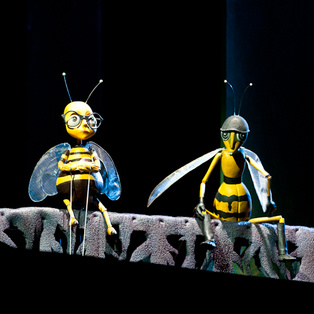 Hundredth repetition of Bee Maja <em>Photo: Boštjan Lah</em>