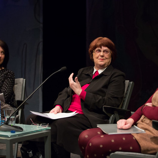 Expert Discussion after the Show The Fairy who Sees in the Dark <em>Photo: Boštjan Lah</em>