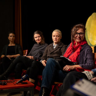 Ferdo, veliki ptič - novinarska konferenca <em>Foto: Boštjan Lah</em>