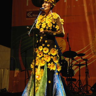 Exhibition of Festival costumes