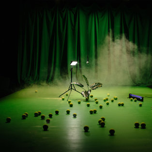 The Green <em>Photo: Kalle Nio</em>