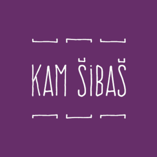 2. KAM ŠIBAŠ festival kamišibaja