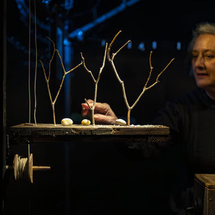 The Chest of Blue Poppies  <em>Photo: Boštjan Lah</em>