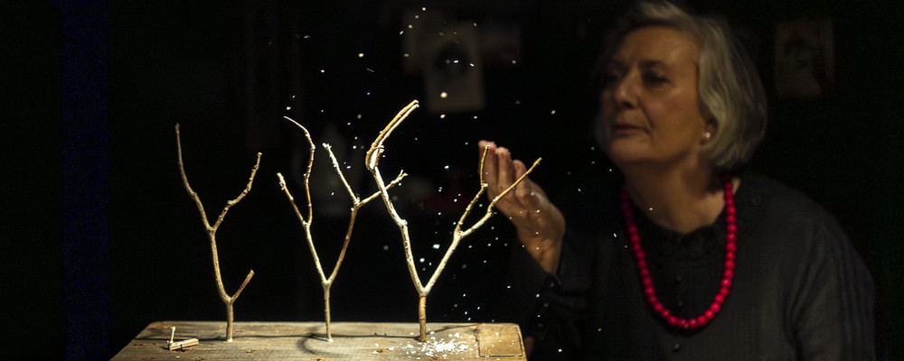 Skrinjica sinjega maka LGM <em>Foto: Boštjan Lah</em>