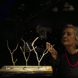 The Chest of Blue Poppies  <em>Photo: Boštjan Lah</em>