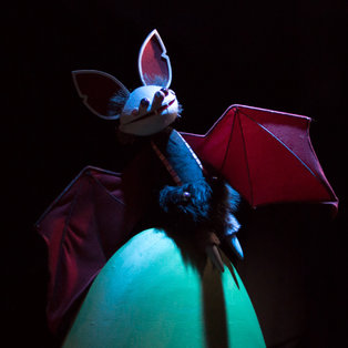 Bat Kazimir <em>Photo: Boštjan Lah</em>