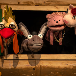 The Fearless Four <em>Photo: Boštjan Lah</em>