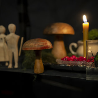 Skrinjica sinjega maka