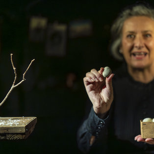 The Chest of Blue Poppies  <em>Photo: Boštjan Lah</em>