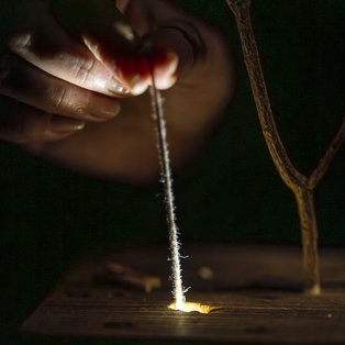 The Chest of Blue Poppies  <em>Photo: Boštjan Lah</em>