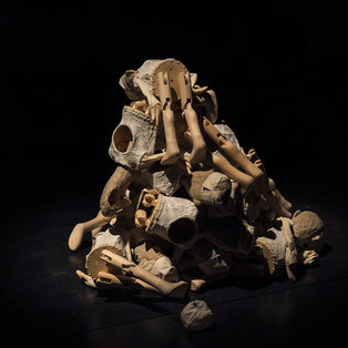 Cankar <em>Foto: Boštjan Lah</em>