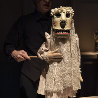 Cankar <em>Foto: Boštjan Lah</em>