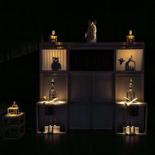 Cankar <em>Foto: Boštjan Lah</em>