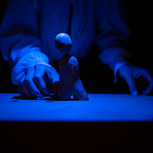 Pinocchio <em>Photo: Boštjan Lah</em>