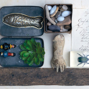 The Chest of Blue Poppies 