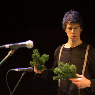 Snežna kraljica <em>Foto: Boštjan Lah</em>