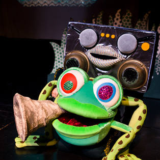 Greta the Frog <em>Photo: Boštjan Lah</em>