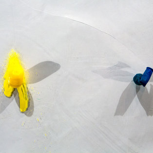 Little blue and little yellow <em>Photo: Boštjan Lah</em>